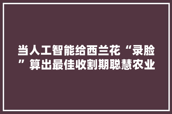 当人工智能给西兰花“录脸”算出最佳收割期聪慧农业时代还远吗_西兰花_无人机 文字写作