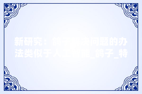新研究：鸽子解决问题的办法类似于人工智能_鸽子_特纳