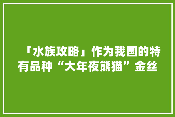 「水族攻略」作为我国的特有品种“大年夜熊猫”金丝鱼该若何喂养_金丝_鱼类