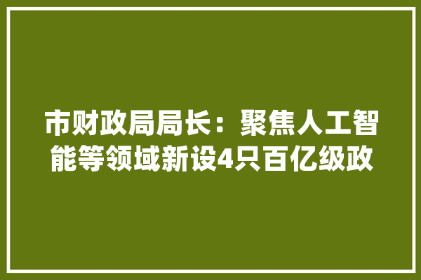 市财政局局长：聚焦人工智能等领域新设4只百亿级政府投资基金_家当_全市
