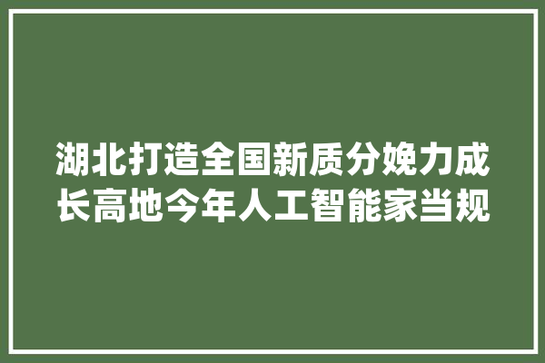 湖北打造全国新质分娩力成长高地今年人工智能家当规模有望破千亿_家当_湖北