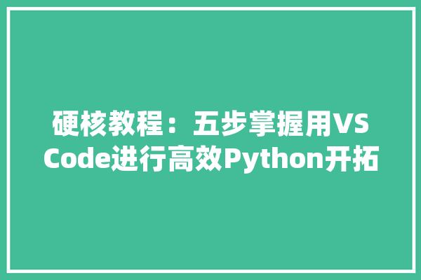 硬核教程：五步掌握用VSCode进行高效Python开拓_代码_你可以