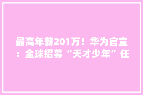 最高年薪201万！华为官宣：全球招募“天才少年”任正非曾称最看重人才的破题能力而不是综合实质【附人工智能行业人才供需分析】_人工智能_家当 AI简讯