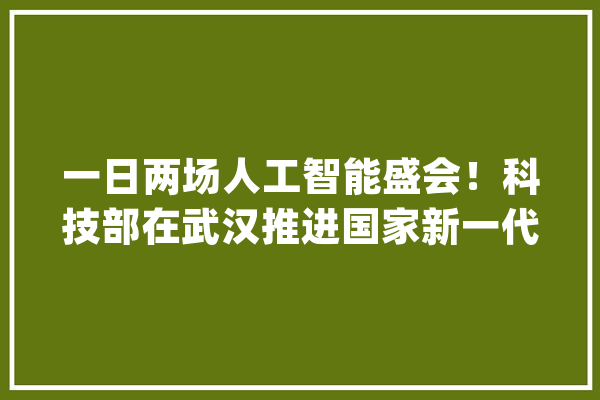 一日两场人工智能盛会！科技部在武汉推进国家新一代人工智能立异成长试验工作_人工智能_武汉 AI简讯