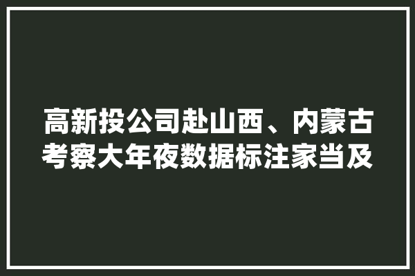 高新投公司赴山西、内蒙古考察大年夜数据标注家当及数据授权确权工作_数据_家当 科技快讯
