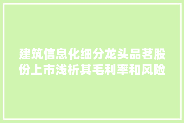 建筑信息化细分龙头品茗股份上市浅析其毛利率和风险点_公司_万元