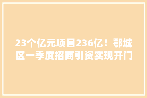 23个亿元项目236亿！鄂城区一季度招商引资实现开门红！_家当_项目 AI简讯