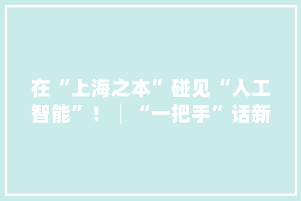 在“上海之本”碰见“人工智能”！│“一把手”话新图景_家当_村