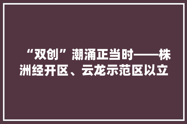“双创”潮涌正当时——株洲经开区、云龙示范区以立异创业助力高质量成长纪实_云龙_家当 智能助手