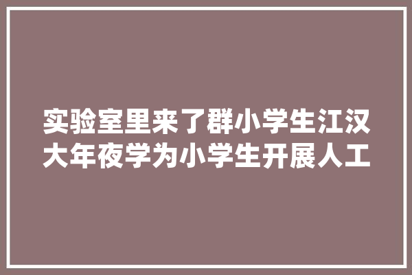 实验室里来了群小学生江汉大年夜学为小学生开展人工智能科普教诲_机械人_互动 智能写作