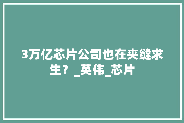 3万亿芯片公司也在夹缝求生？_英伟_芯片 AI简讯