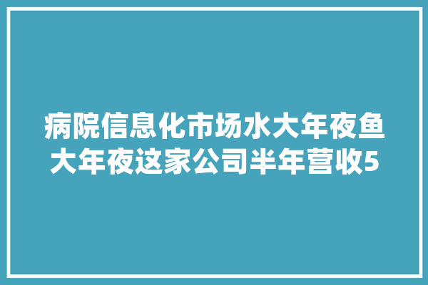 病院信息化市场水大年夜鱼大年夜这家公司半年营收5.7亿！内附盈利窍门_医疗_病院 计算机