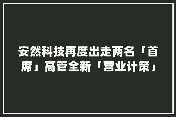 安然科技再度出走两名「首席」高管全新「营业计策」浮出水面_安然_科技