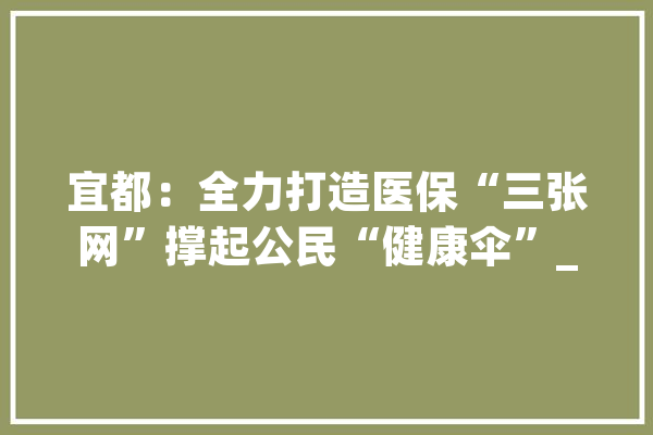 宜都：全力打造医保“三张网”撑起公民“健康伞”_医保_宜都