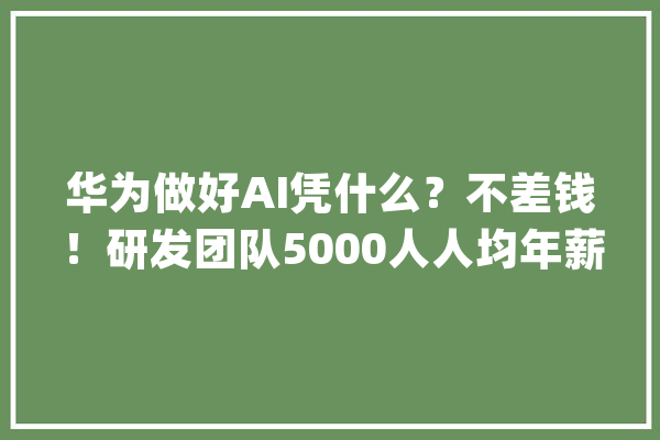 华为做好AI凭什么？不差钱！研发团队5000人人均年薪30万美元_华为_芯片 科技快讯