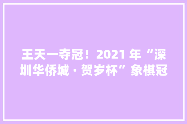 王天一夺冠！2021 年“深圳华侨城 · 贺岁杯”象棋冠军快棋邀请赛圆满收官_深圳_象棋 AI快讯