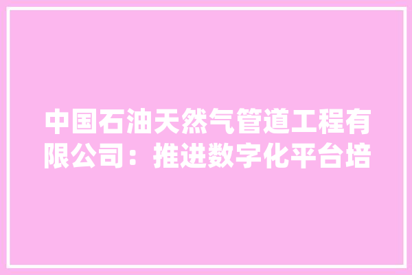 中国石油天然气管道工程有限公司：推进数字化平台培植 打造全新业态优势_管道_设计院