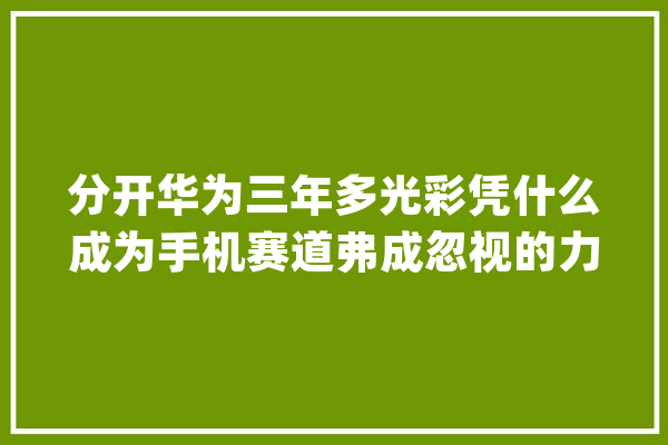 分开华为三年多光彩凭什么成为手机赛道弗成忽视的力量？_光荣_这一