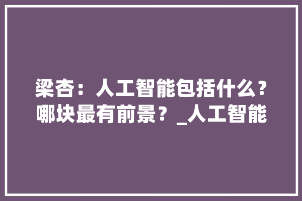 梁杏：人工智能包括什么？哪块最有前景？_人工智能_行业 云服务