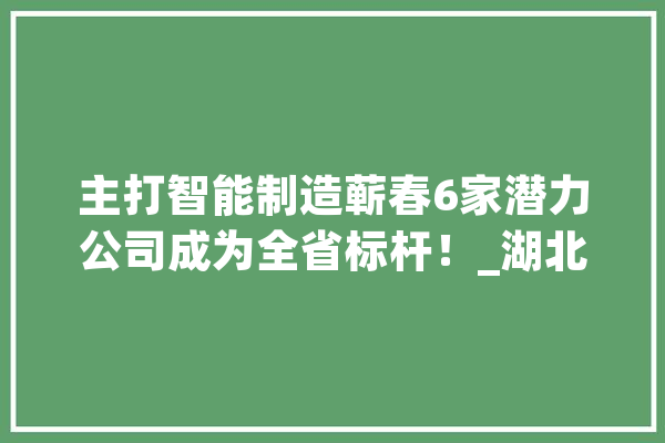 主打智能制造蕲春6家潜力公司成为全省标杆！_湖北_李时珍 云服务