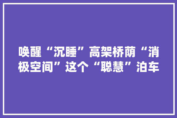 唤醒“沉睡”高架桥荫“消极空间”这个“聪慧”泊车场正式对外开放_街区_居平易近 计算机