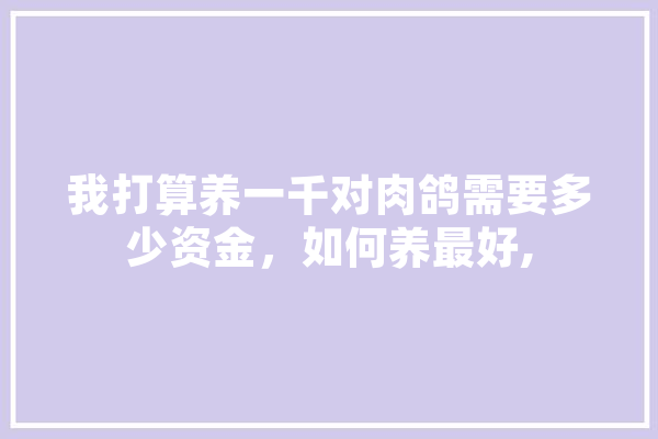 我打算养一千对肉鸽需要多少资金，如何养最好, 智能写作