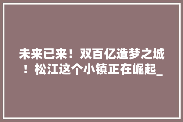 未来已来！双百亿造梦之城！松江这个小镇正在崛起_人工智能_家当 AI快讯
