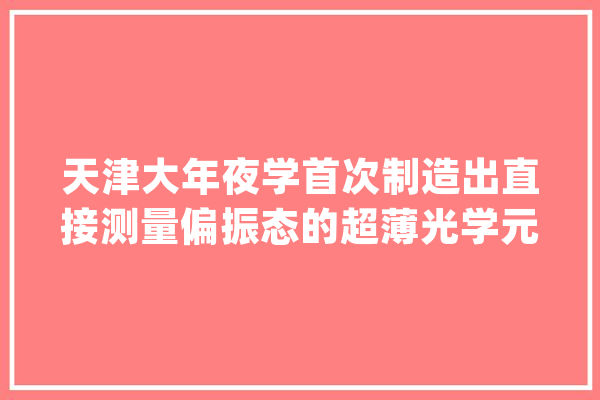 天津大年夜学首次制造出直接测量偏振态的超薄光学元件_偏振_全息 文字写作