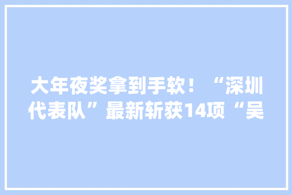 大年夜奖拿到手软！“深圳代表队”最新斩获14项“吴文俊人工智能科学技能奖”_人工智能_深圳