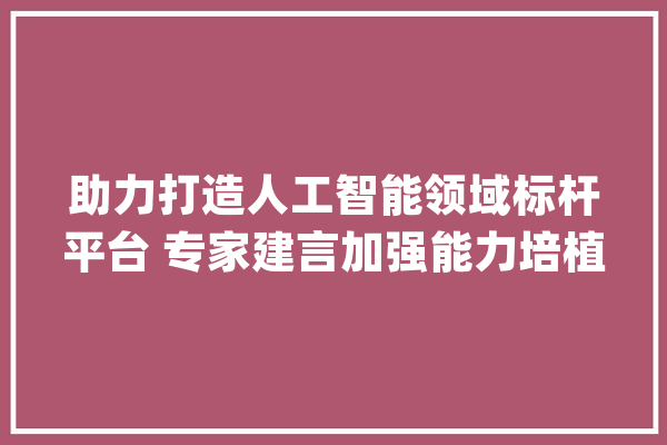 助力打造人工智能领域标杆平台 专家建言加强能力培植和技能构造_家当_村 AI简讯