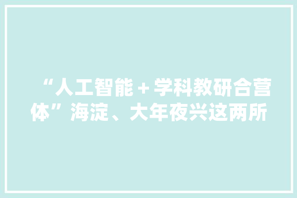 “人工智能＋学科教研合营体”海淀、大年夜兴这两所黉舍立异合作办学模式_教师_年夜兴 AI简讯