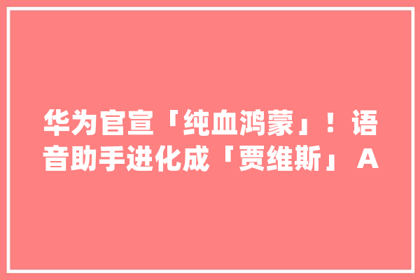 华为官宣「纯血鸿蒙」！语音助手进化成「贾维斯」 AI 时代的操作系统来了_鸿蒙_华为