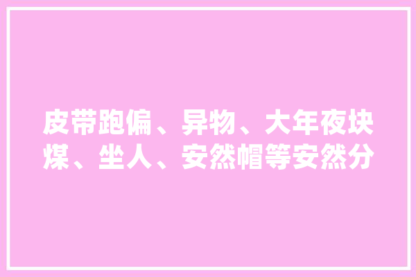 皮带跑偏、异物、大年夜块煤、坐人、安然帽等安然分娩的人工智能算法_皮带_人员 AI快讯