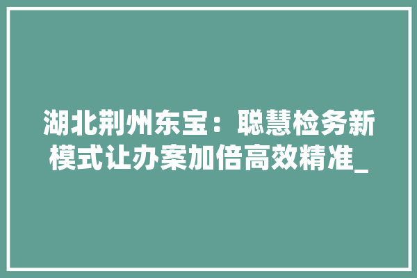 湖北荆州东宝：聪慧检务新模式让办案加倍高效精准_荆门_体系