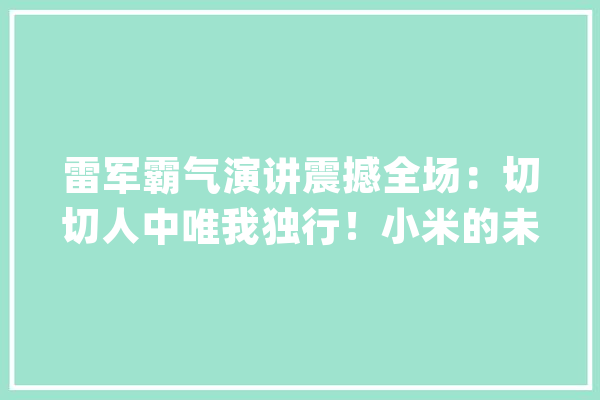 雷军霸气演讲震撼全场：切切人中唯我独行！小米的未来已来？_小米_用户 文字写作