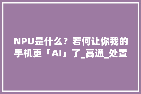 NPU是什么？若何让你我的手机更「AI」了_高通_处置器 绘影字幕
