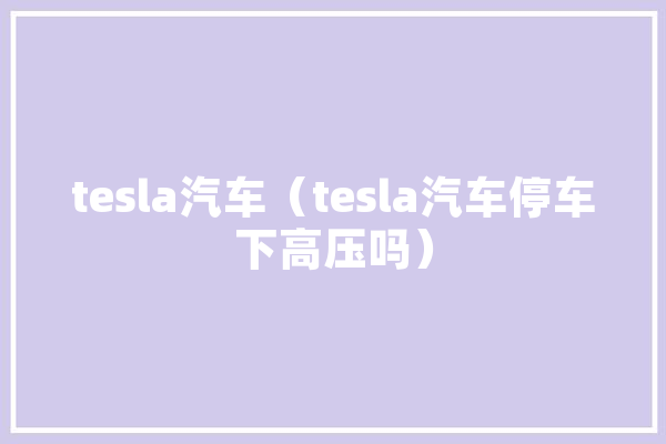 tesla汽车（tesla汽车停车下高压吗）