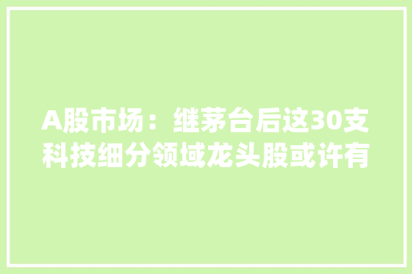 A股市场：继茅台后这30支科技细分领域龙头股或许有望出现下一只10倍大年夜牛股_涨幅_事迹