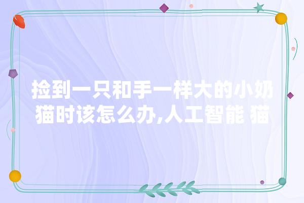 捡到一只和手一样大的小奶猫时该怎么办,人工智能 猫 dog