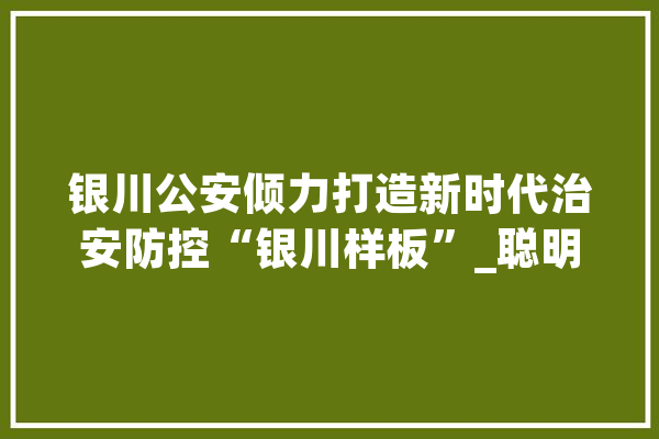 银川公安倾力打造新时代治安防控“银川样板”_聪明_银川市 云服务