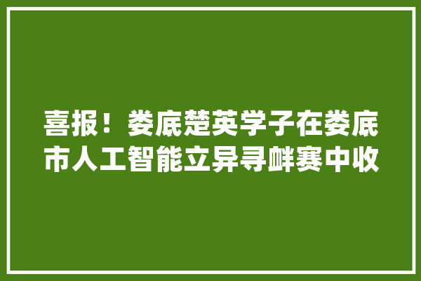 喜报！娄底楚英学子在娄底市人工智能立异寻衅赛中收成佳绩_娄底市_无人机 智能写作