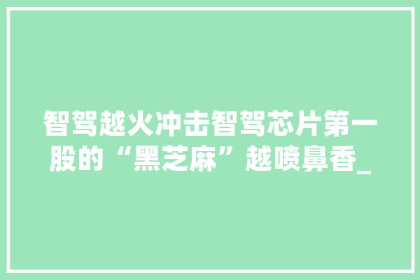 智驾越火冲击智驾芯片第一股的“黑芝麻”越喷鼻香_黑芝麻_智能
