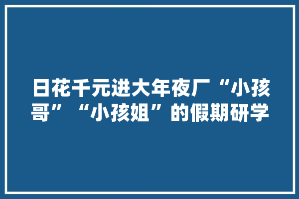 日花千元进大年夜厂“小孩哥”“小孩姐”的假期研学有多火爆_研学_美观