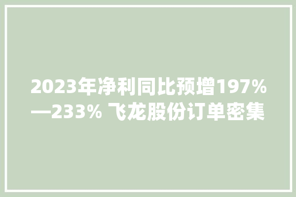 2023年净利同比预增197%—233% 飞龙股份订单密集落地_飞龙_亿元