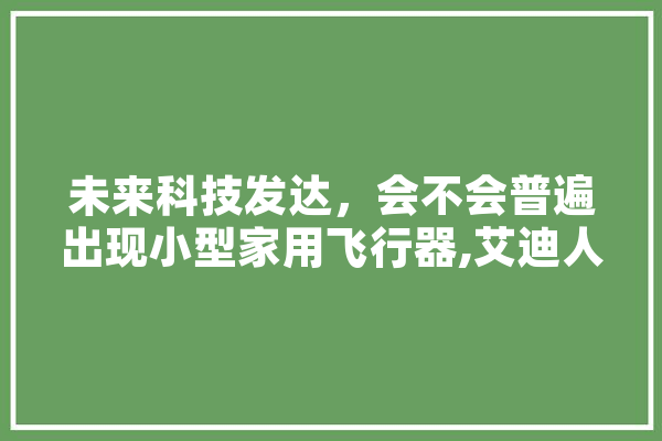 未来科技发达，会不会普遍出现小型家用飞行器,艾迪人工智能战机 智能助手