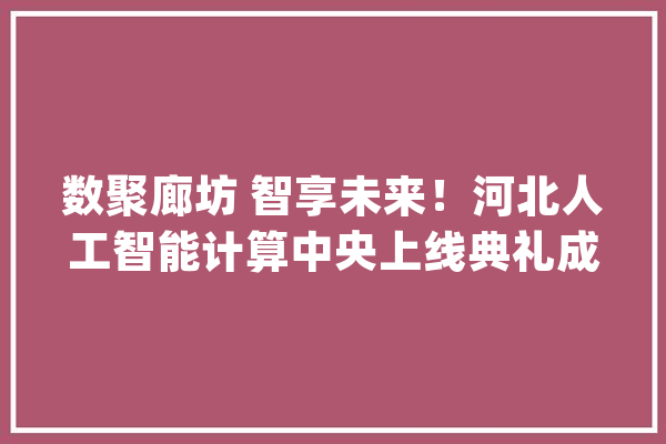 数聚廊坊 智享未来！河北人工智能计算中央上线典礼成功举行_人工智能_河北 云服务