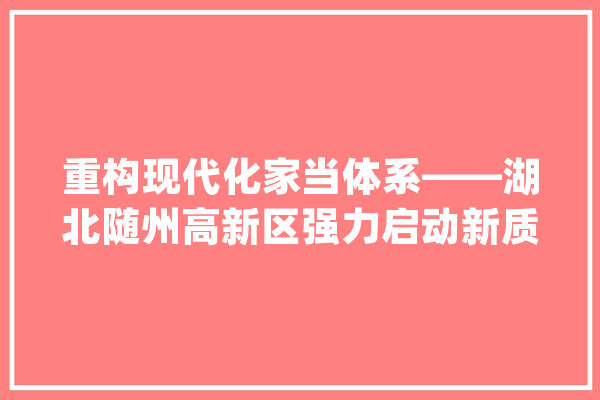 重构现代化家当体系——湖北随州高新区强力启动新质分娩力引擎_随州_多孔