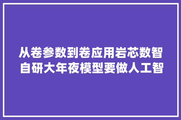 从卷参数到卷应用岩芯数智自研大年夜模型要做人工智能根本举动办法_模子_架构 云服务