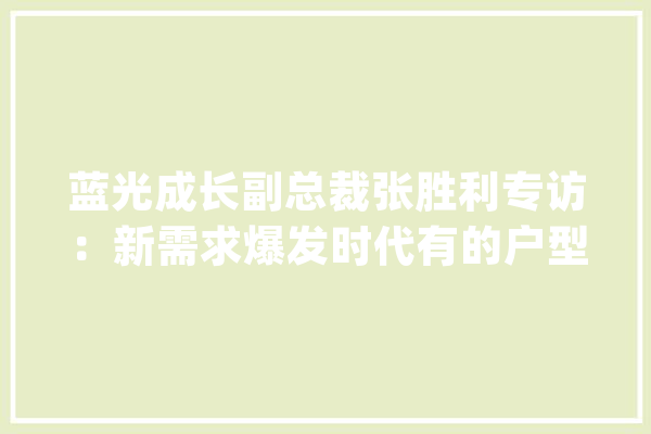 蓝光成长副总裁张胜利专访：新需求爆发时代有的户型为啥没人要？_户型_需求 计算机