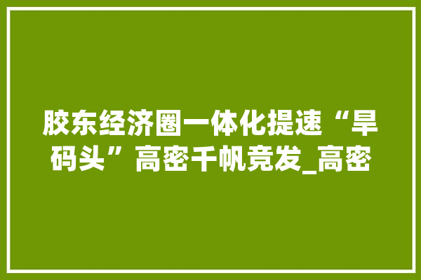 胶东经济圈一体化提速“旱码头”高密千帆竞发_高密_家当 绘影字幕